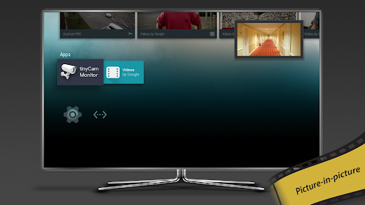 tinyCam Monitor PRO for IP Cam Screenshot 21